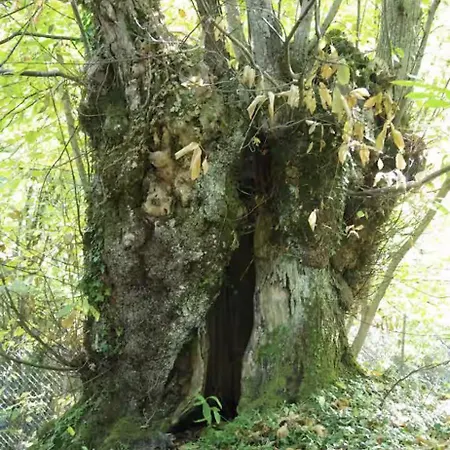 Casa In Montagna A Badi Suviana